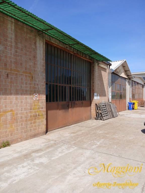 immagine annuncio 6 di 7