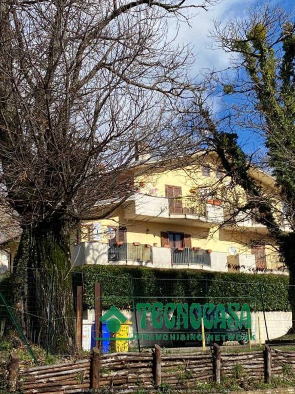 immagine annuncio 9 di 14