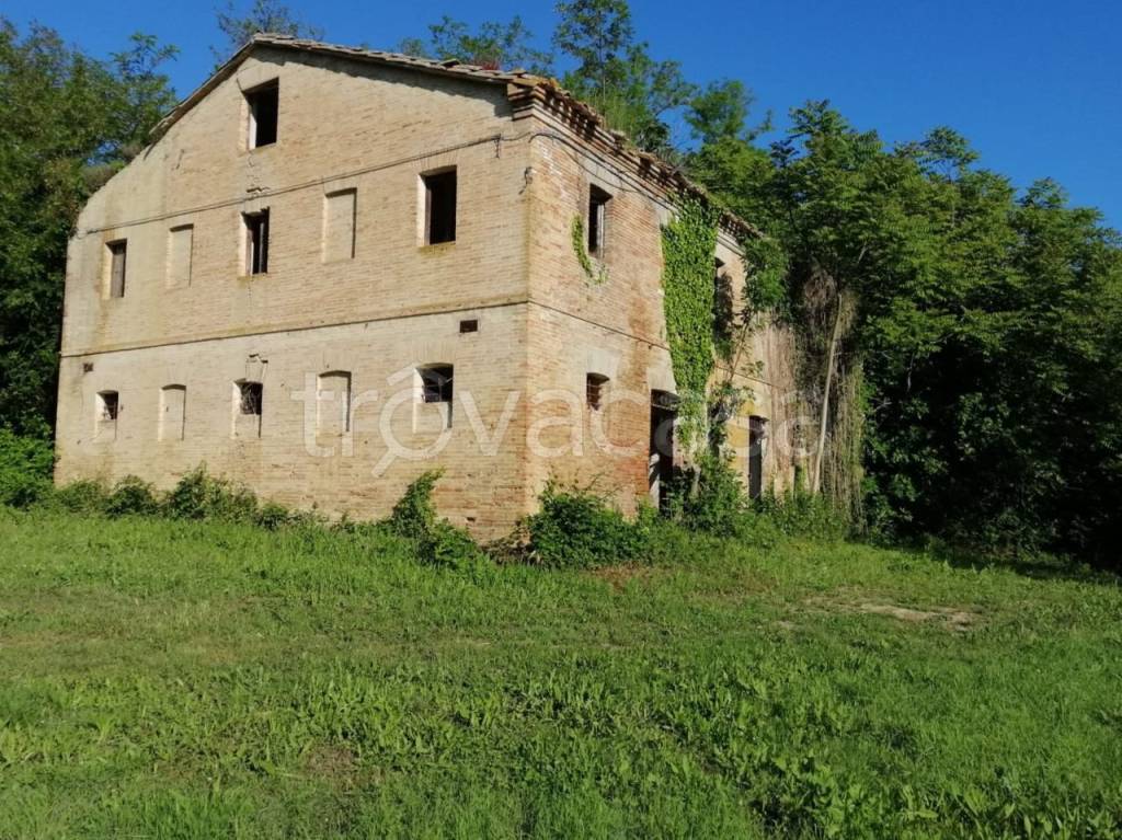 immagine annuncio 3 di 9