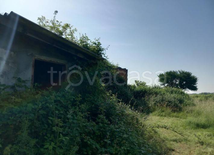 immagine annuncio 1 di 6