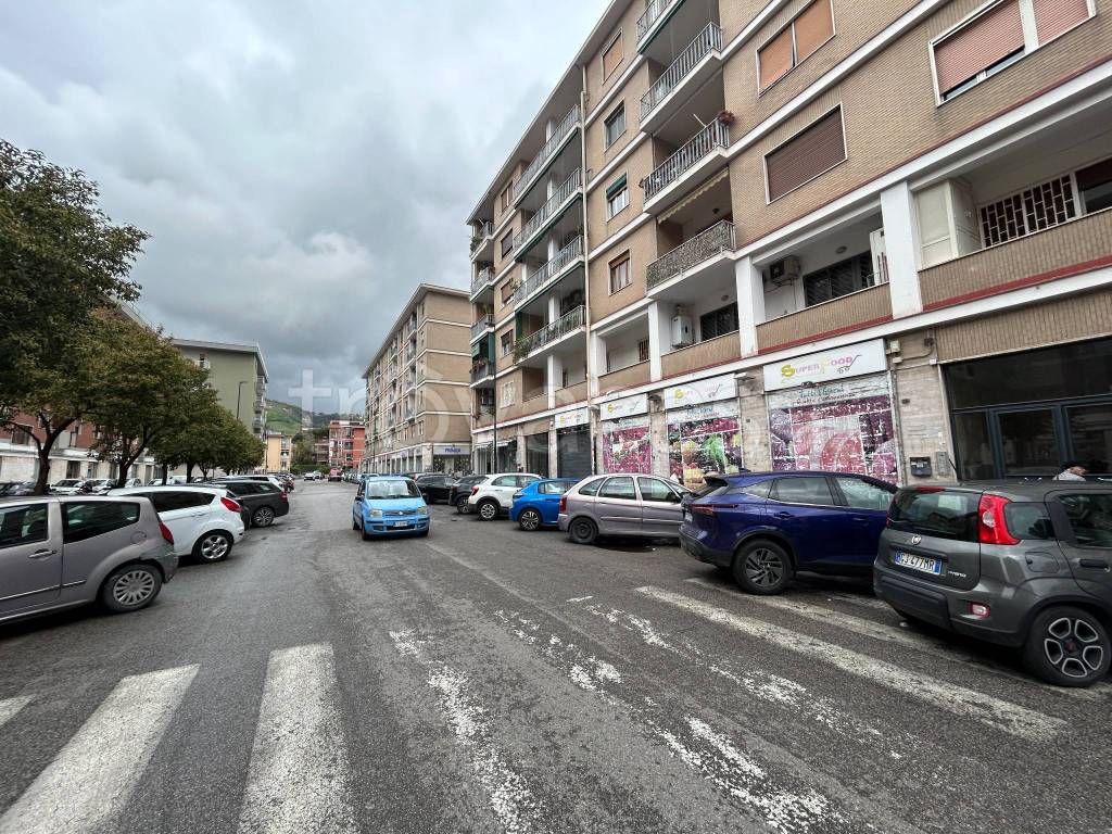 immagine annuncio 1 di 7