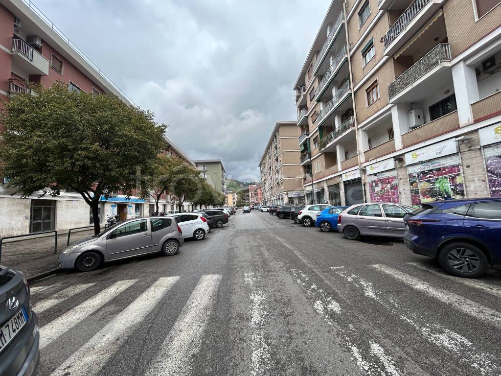 immagine annuncio 5 di 7