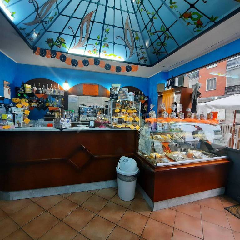 immagine annuncio 5 di 14