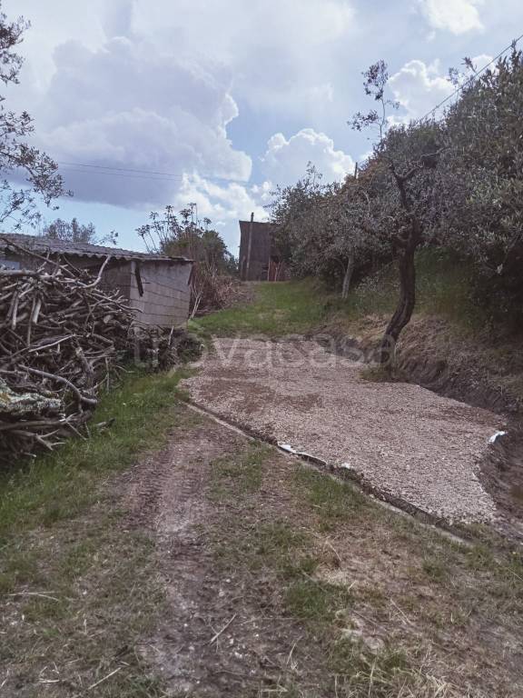 immagine annuncio 11 di 12