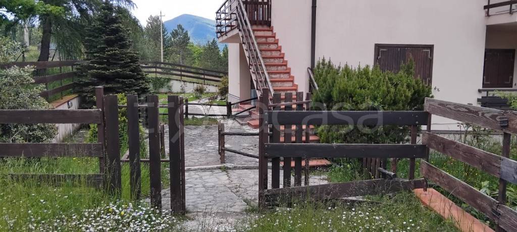 immagine annuncio 1 di 8