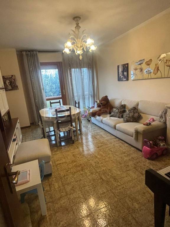 immagine annuncio 3 di 14