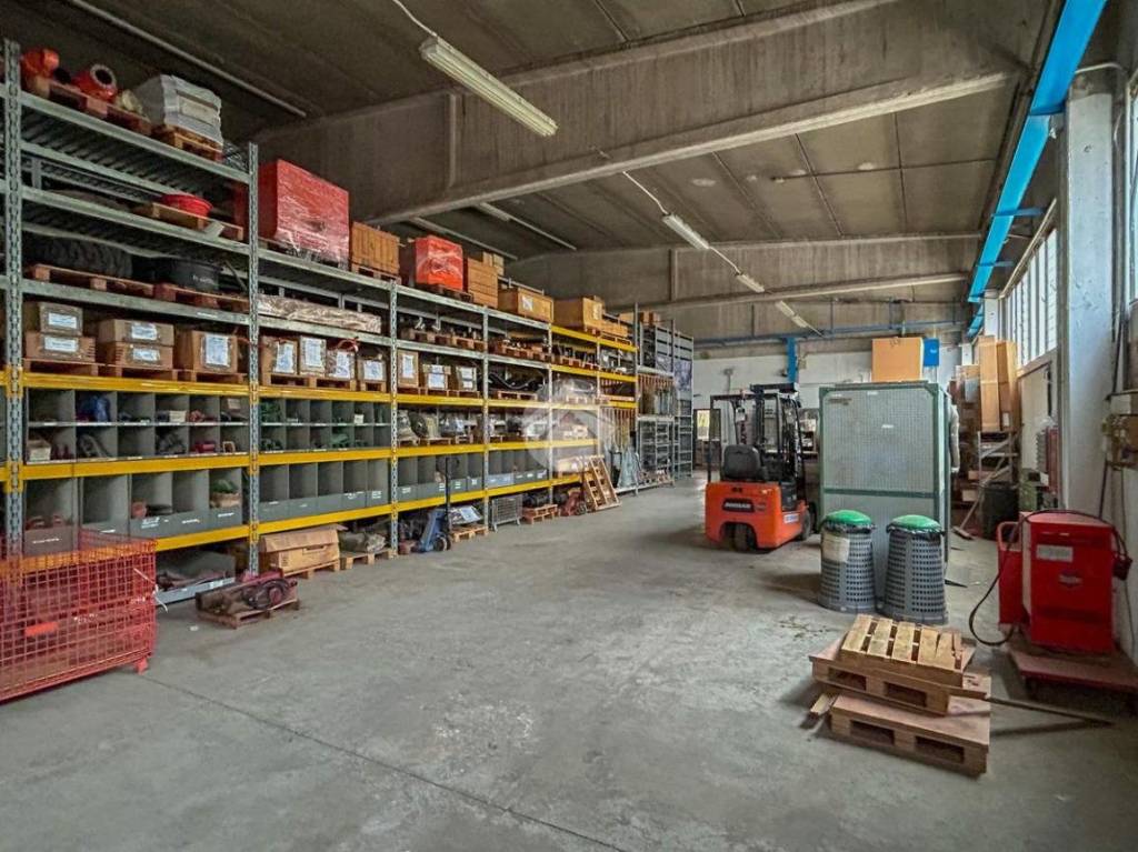 immagine annuncio 1 di 15