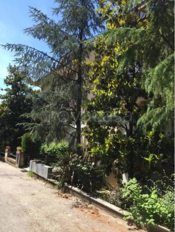 immagine annuncio 5 di 7