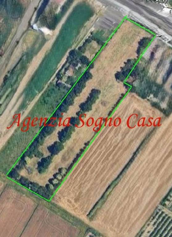 immagine annuncio 5 di 6