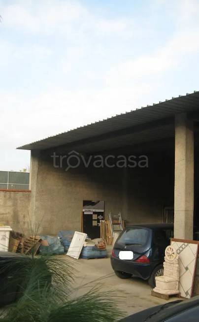 immagine annuncio 6 di 11