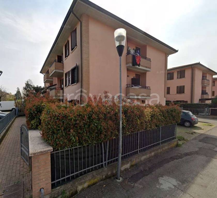 immagine annuncio 8 di 15