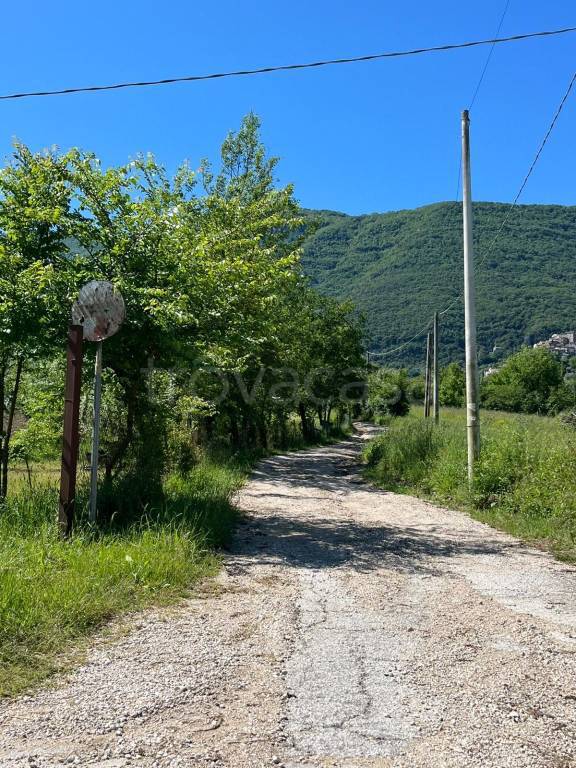 immagine annuncio 9 di 13