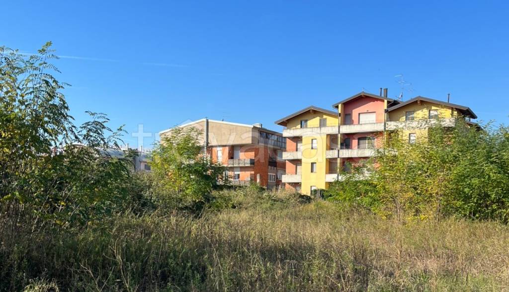 immagine annuncio 5 di 12