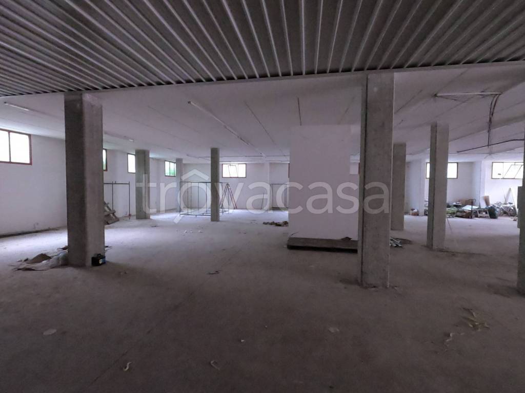 immagine annuncio 3 di 8