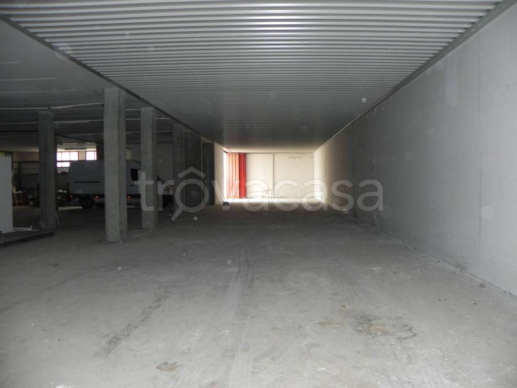 immagine annuncio 5 di 8