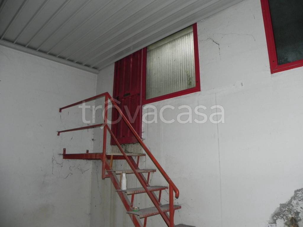 immagine annuncio 6 di 8