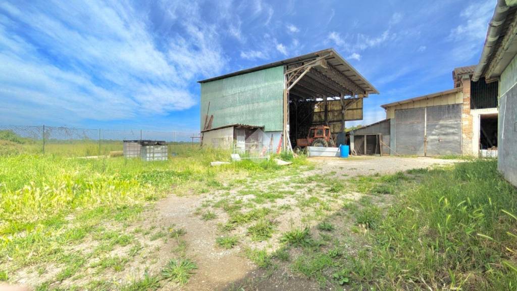 immagine annuncio 7 di 15