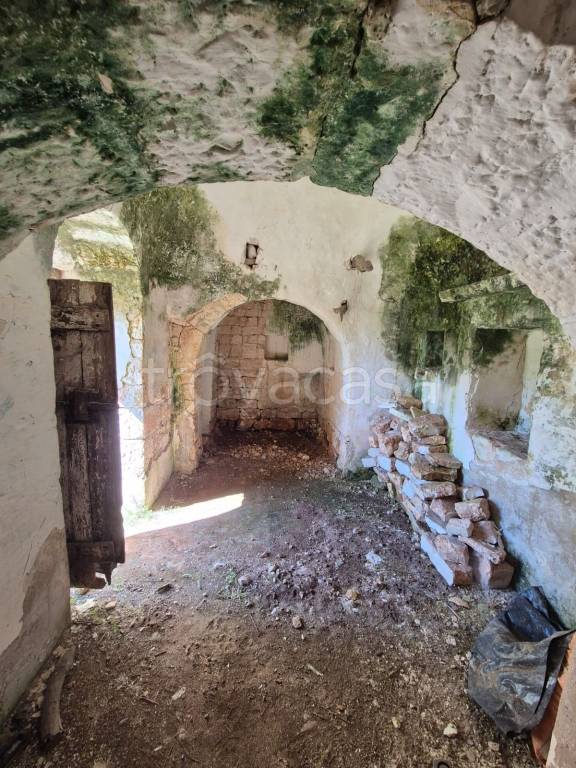 immagine annuncio 4 di 14