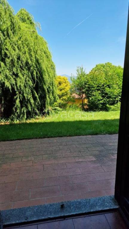 immagine annuncio 11 di 14