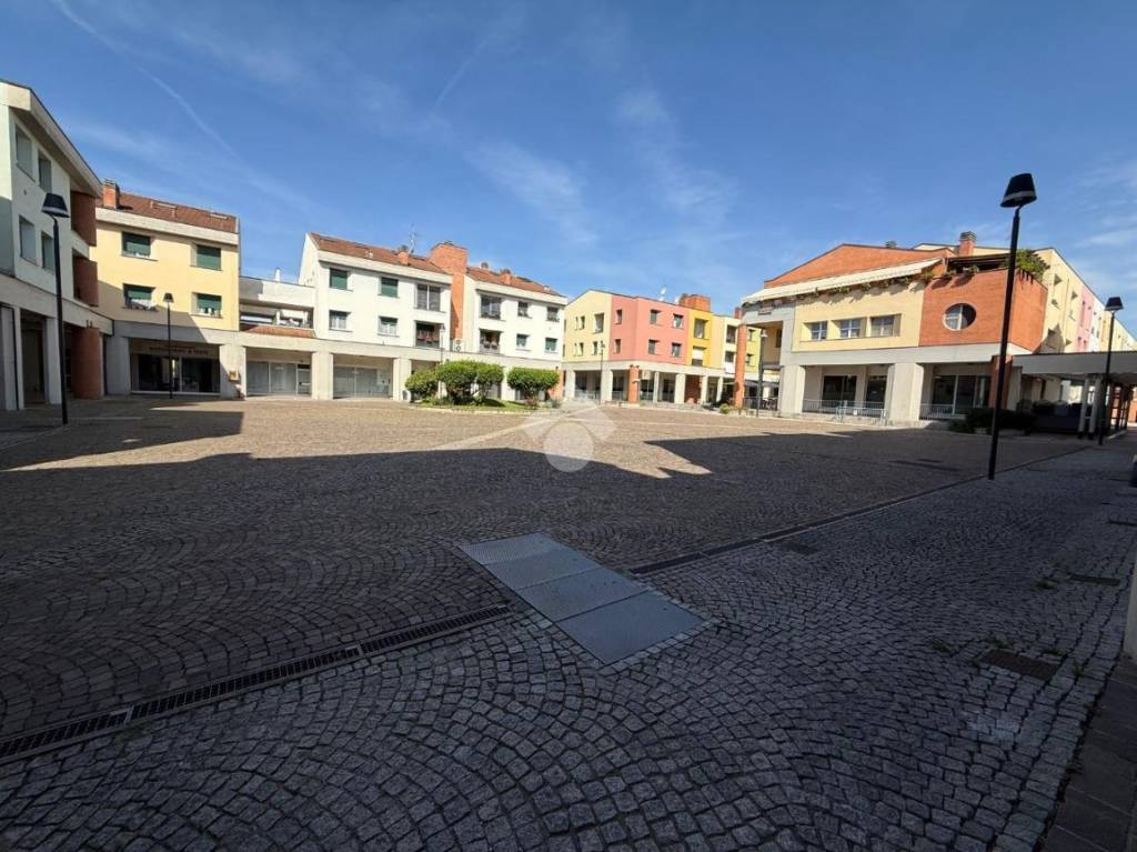 immagine annuncio 7 di 13
