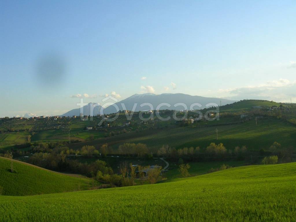 immagine annuncio 4 di 6