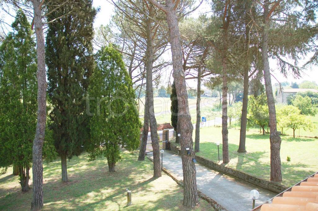 immagine annuncio 8 di 13