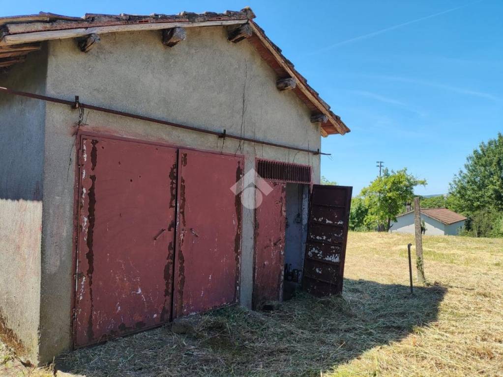 immagine annuncio 2 di 11