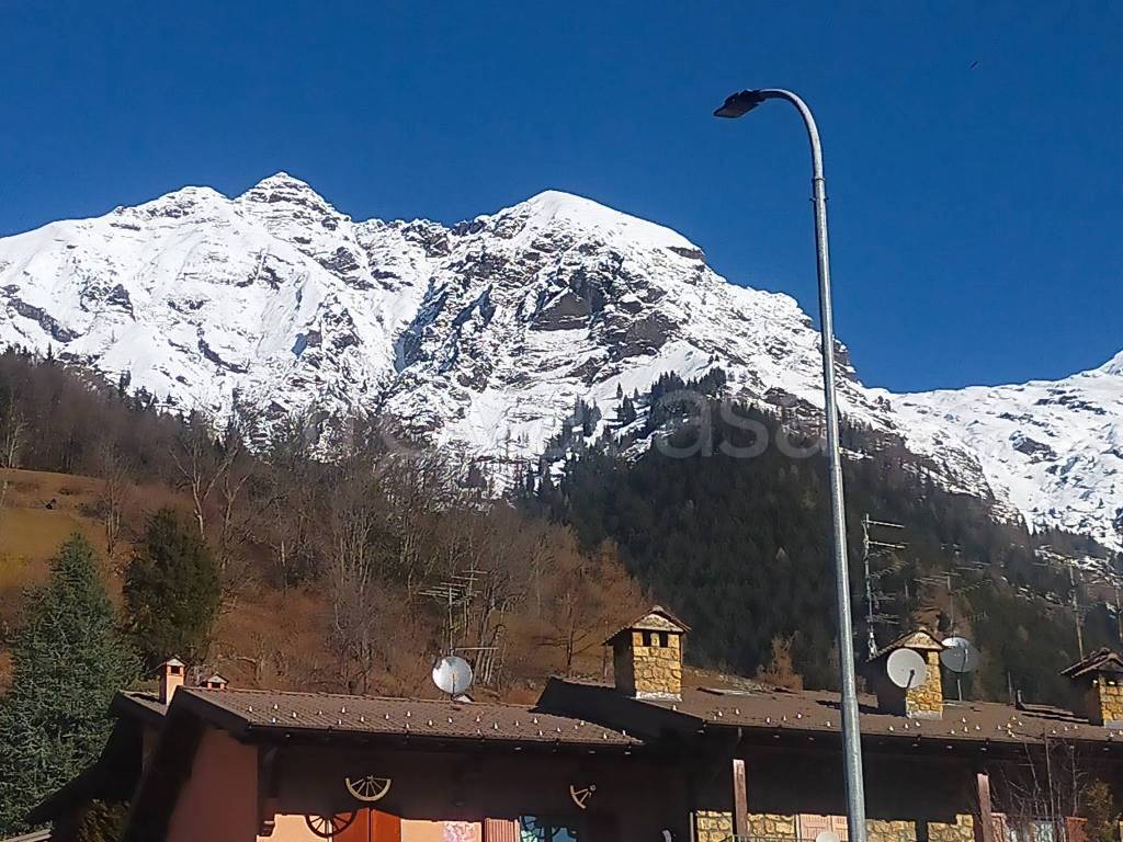 immagine annuncio 1 di 7