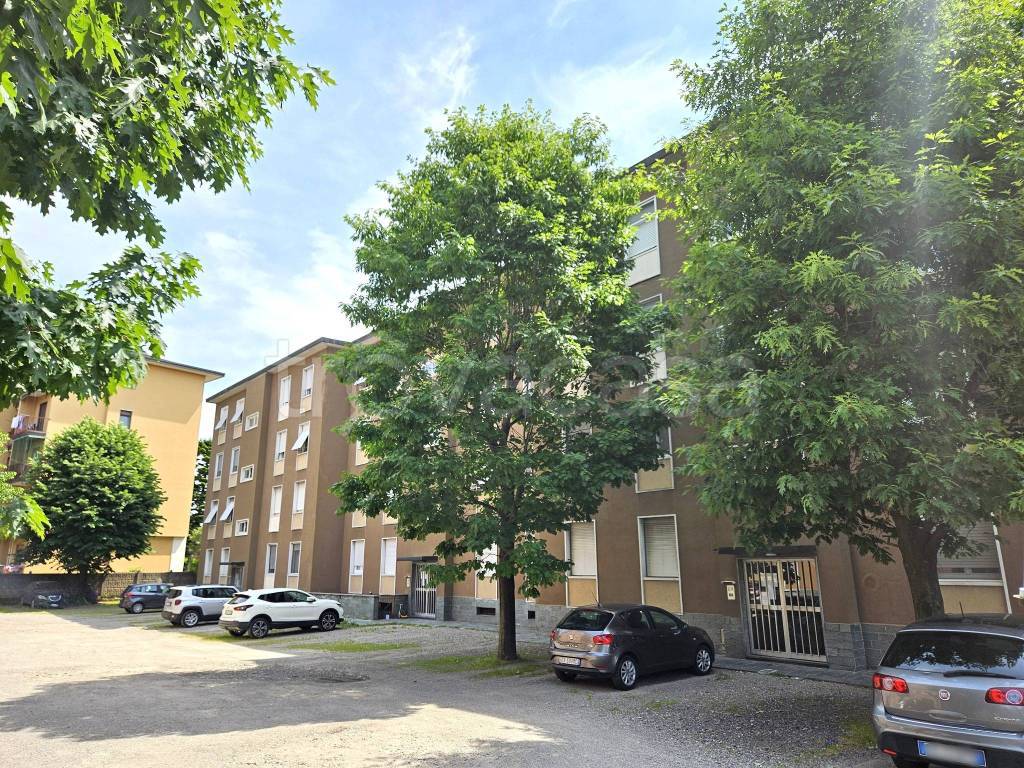 immagine annuncio 8 di 14