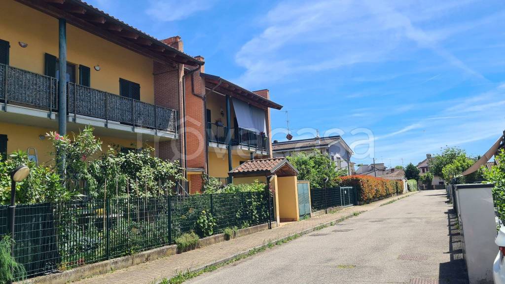 immagine annuncio 3 di 15