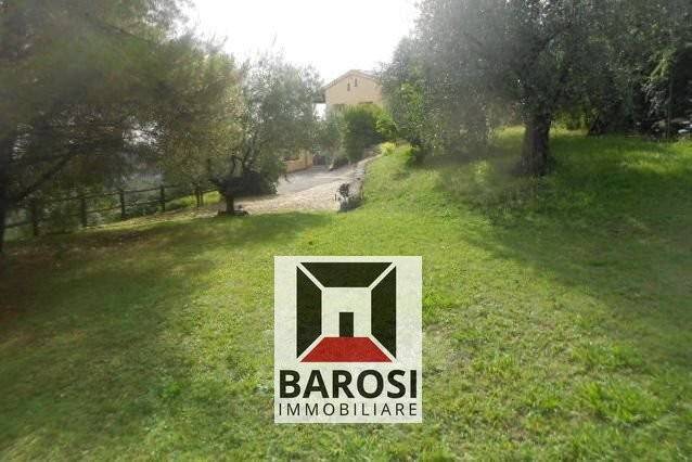 immagine annuncio 7 di 8