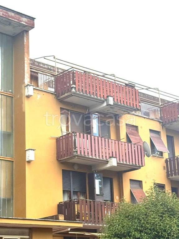 immagine annuncio 3 di 6
