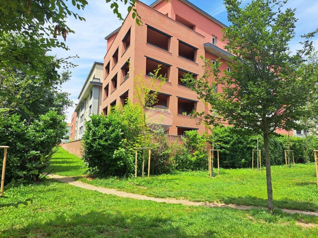immagine annuncio 9 di 15