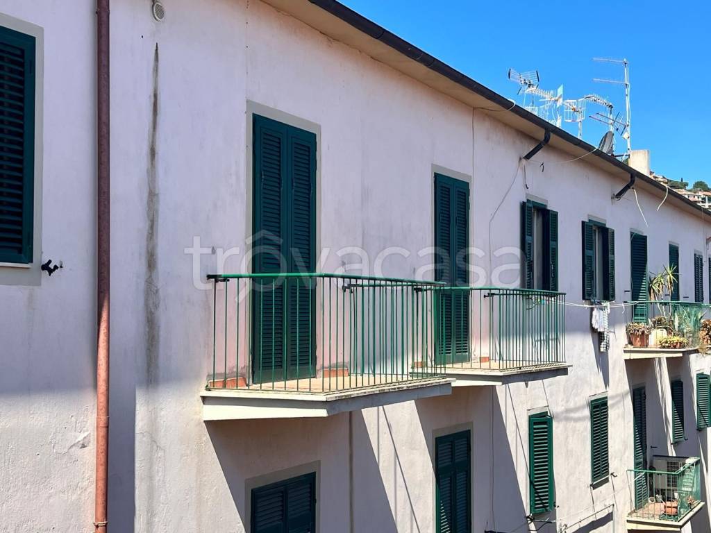 immagine annuncio 5 di 14