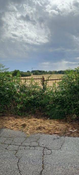 immagine annuncio 2 di 3