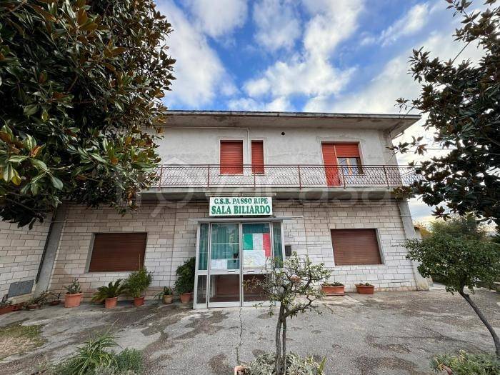 immagine annuncio 5 di 7