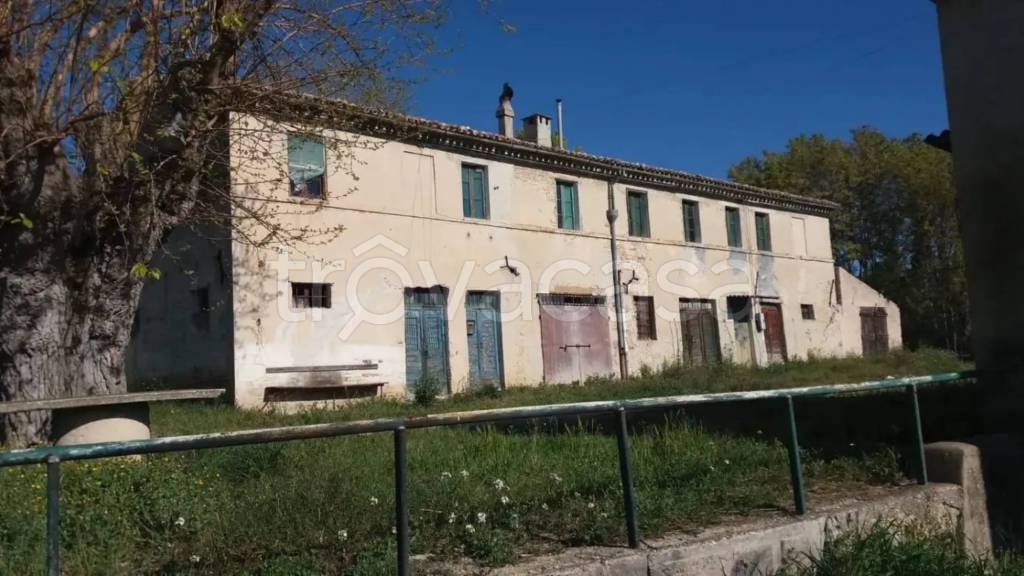 immagine annuncio 4 di 7
