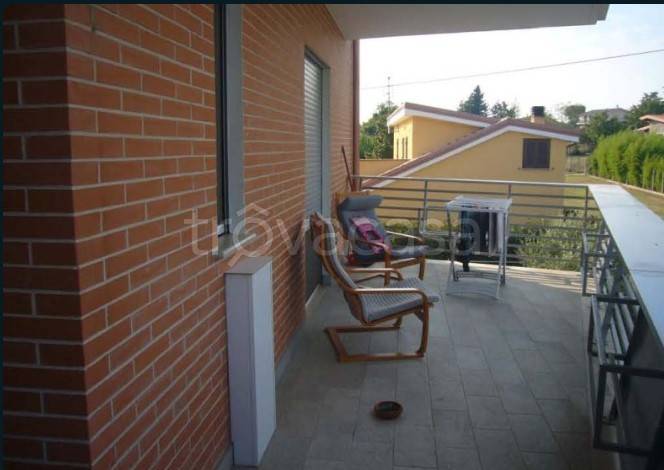 immagine annuncio 10 di 14
