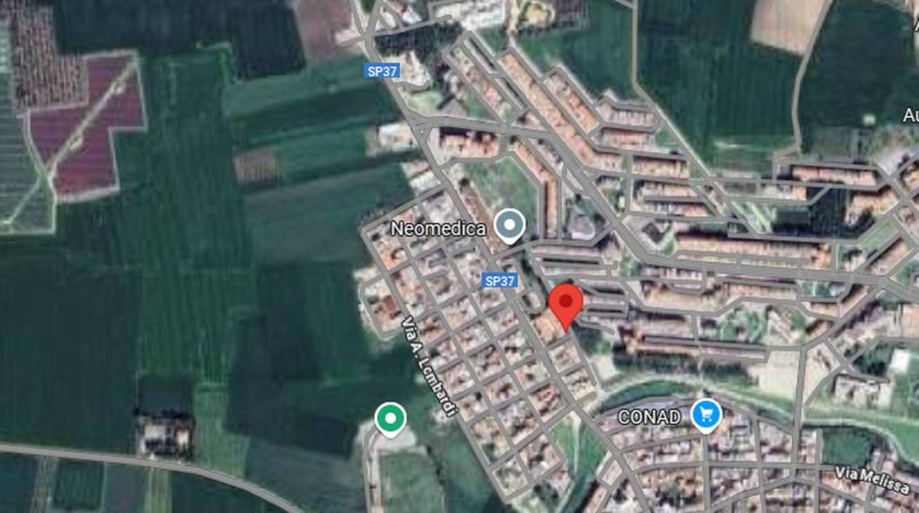 immagine annuncio 5 di 8