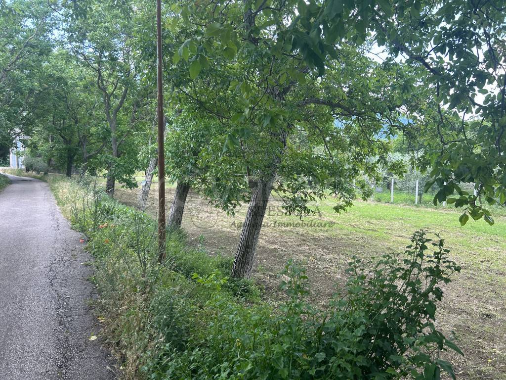 immagine annuncio 4 di 6