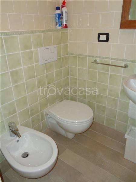 immagine annuncio 9 di 12
