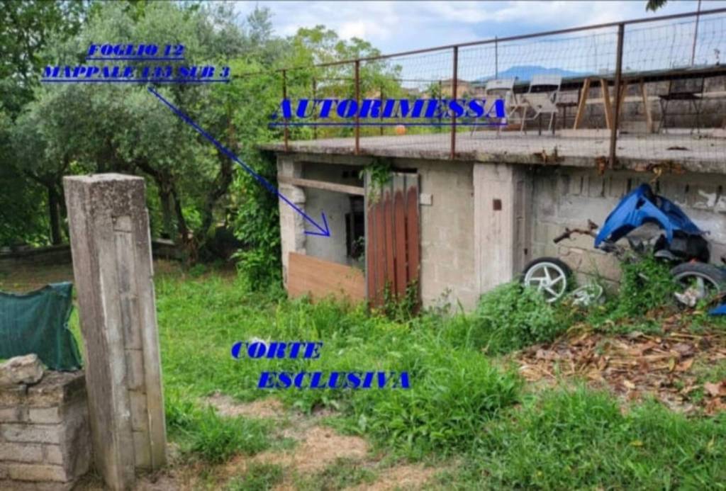 immagine annuncio 12 di 14