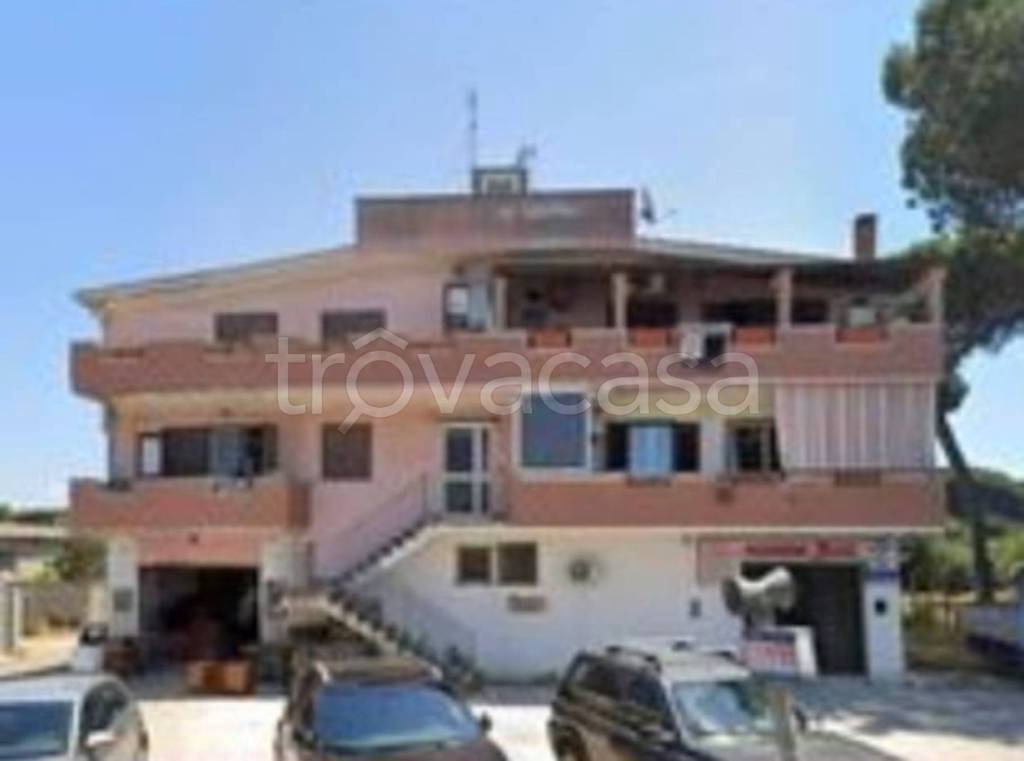 immagine annuncio 2 di 14