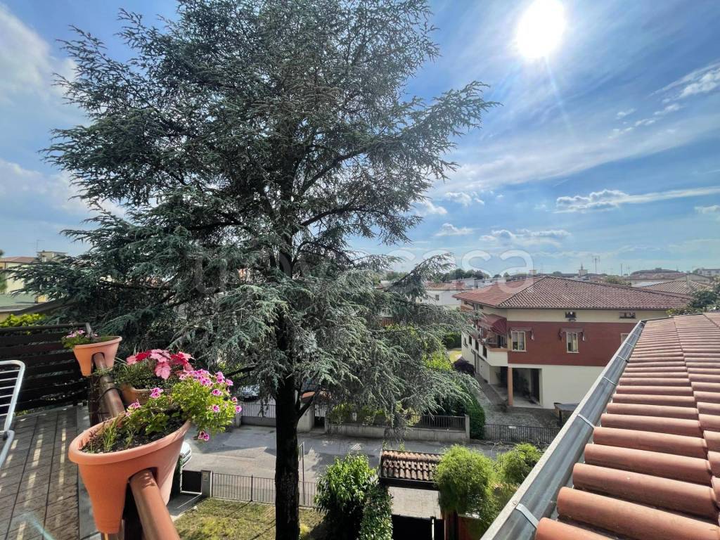 immagine annuncio 8 di 12