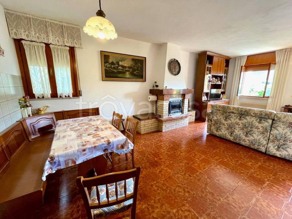 immagine annuncio 5 di 13