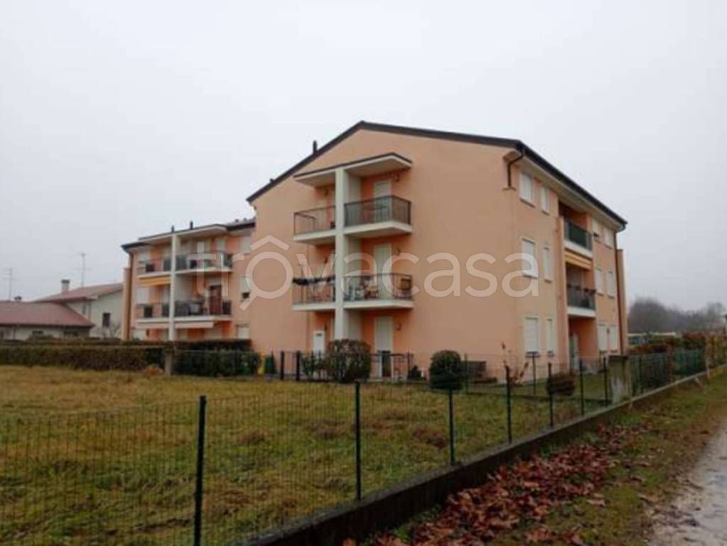 immagine annuncio 7 di 12