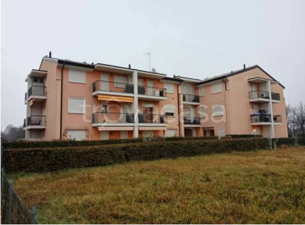 immagine annuncio 11 di 12