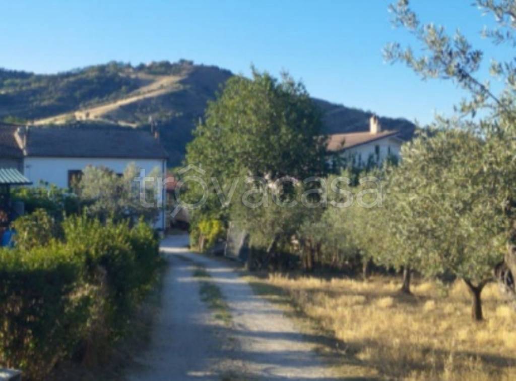 immagine annuncio 6 di 14