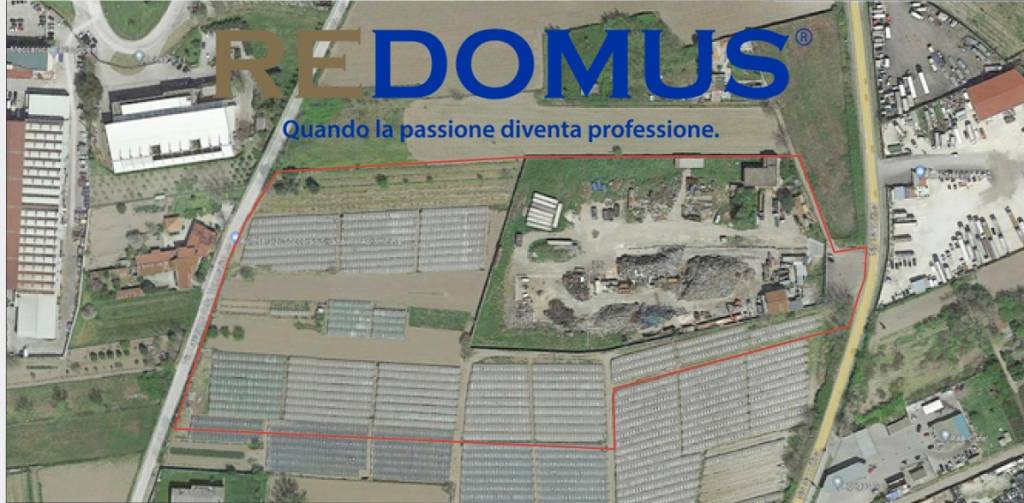 immagine annuncio 3 di 6
