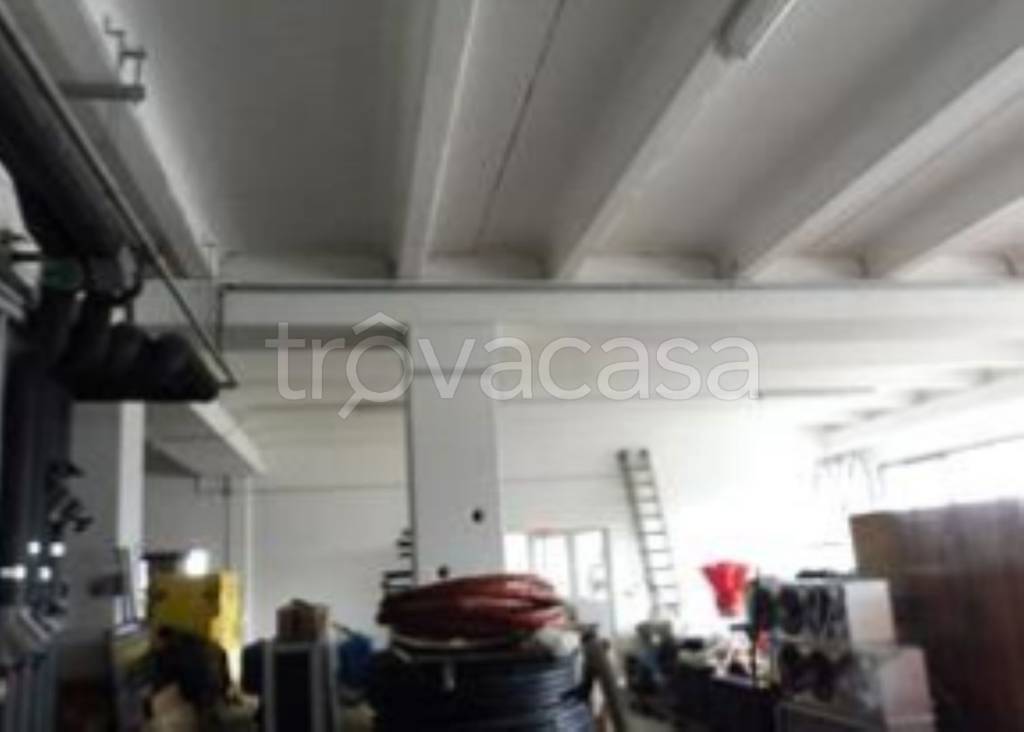 immagine annuncio 8 di 11